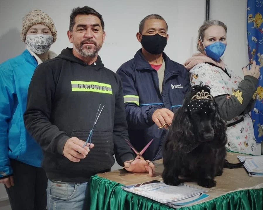 Atendimento móvel veterinário será retomado em Paranaguá