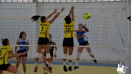 Imagem da galeria da noticia