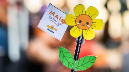 Imagem da galeria da noticia