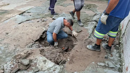 Imagem da galeria da noticia