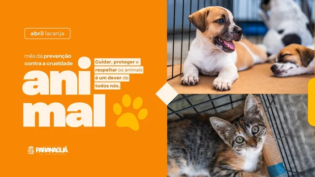 Abril Laranja reforça combate aos maus-tratos e incentiva adoção responsável de animais