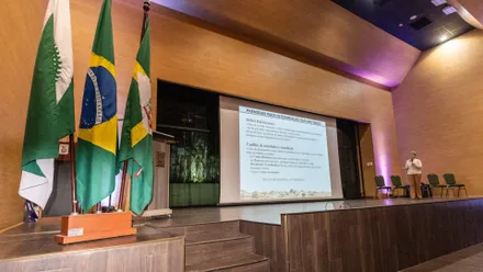 Imagem da galeria da noticia