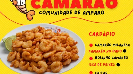 Imagem da galeria da noticia