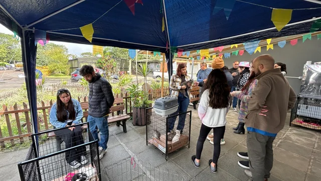 Primeira Festa Cãonina promove adoção e solidariedade no Canil Municipal