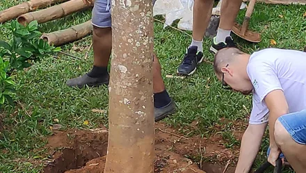 Imagem da galeria da noticia