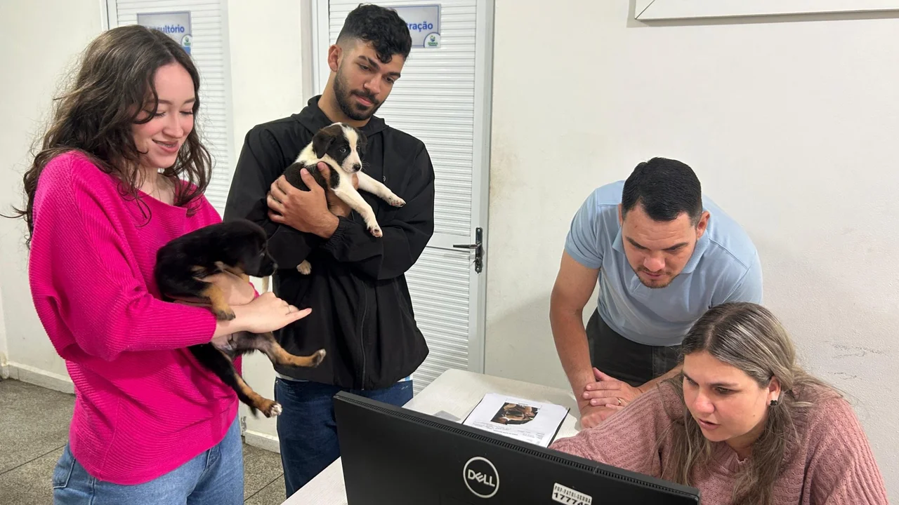 Feira no Canil Municipal de Paranaguá garante novos lares para 18 cães