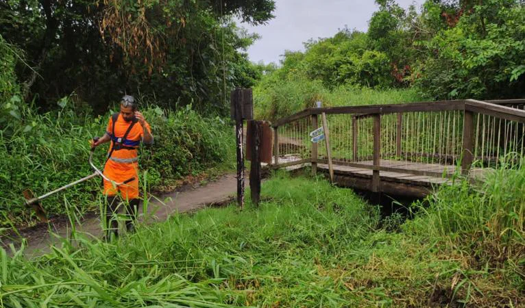 Prefeitura realiza serviços de limpeza na Ilha do Mel