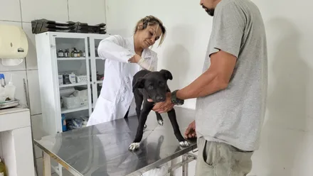Imagem da galeria da noticia