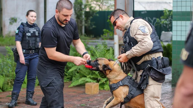 Guarda Civil Municipal de Paranaguá inicia estruturação da futura Unidade K9