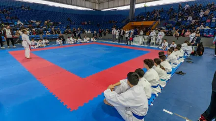Imagem da galeria da noticia