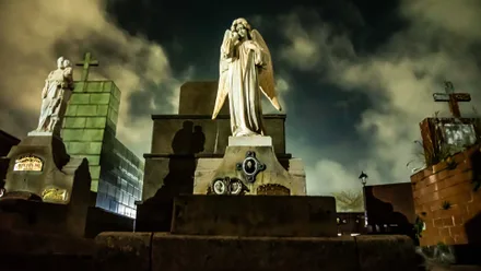 Imagem da galeria da noticia