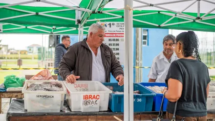 Imagem da galeria da noticia