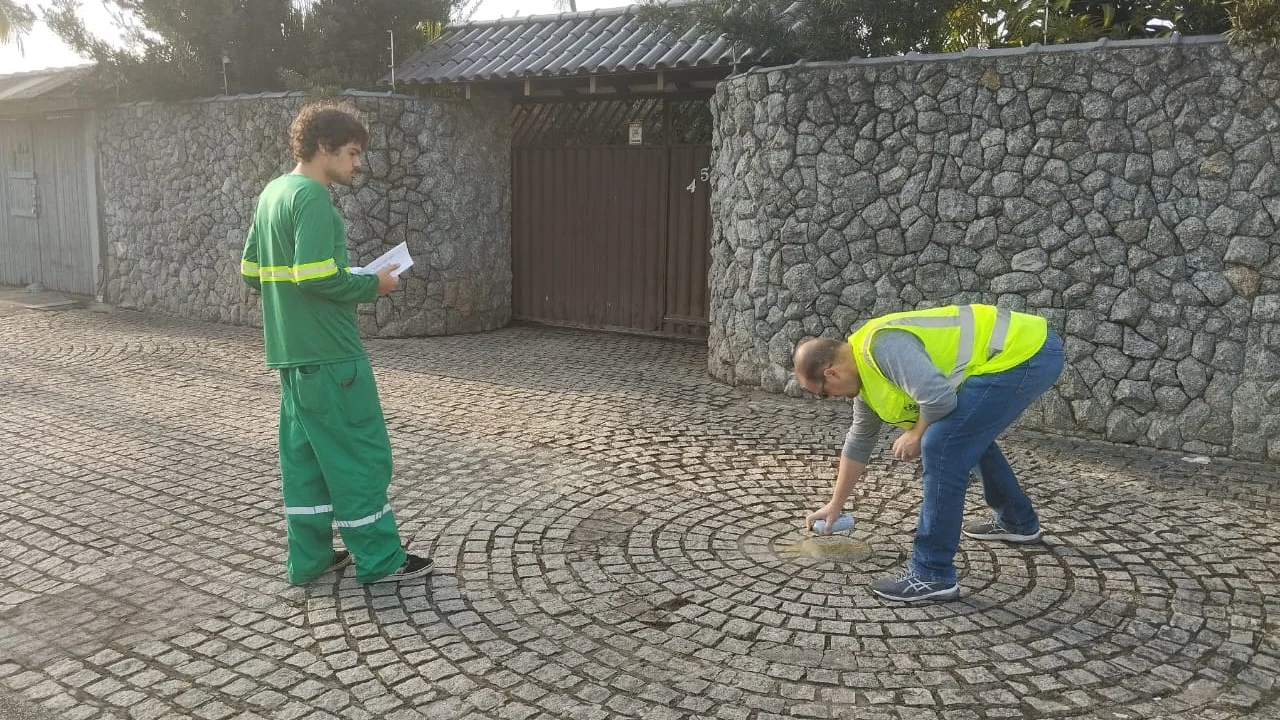 Meio Ambiente plantará 134 mudas de árvores