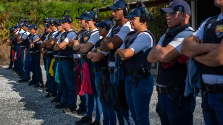 Imagem da galeria da noticia