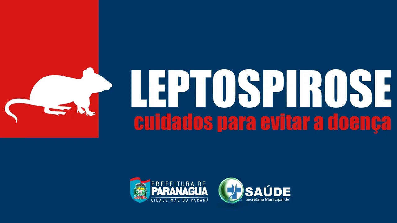 Leptospirose: uma doença que pode matar e exige cuidados