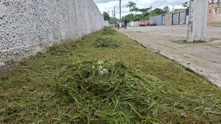 Imagem da galeria da noticia