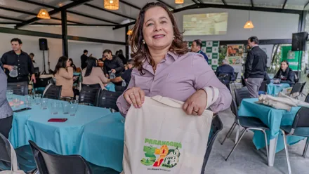 Imagem da galeria da noticia