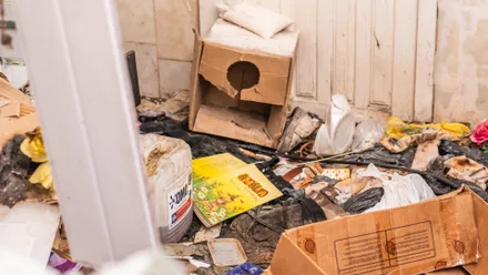 Imagem da galeria da noticia