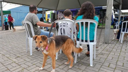 Imagem da galeria da noticia