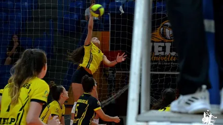Imagem da galeria da noticia