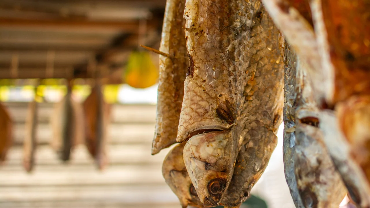 Mais de 11 toneladas de pescados são comercializados durante a 13ª Festa Nacional da Tainha em Paranaguá