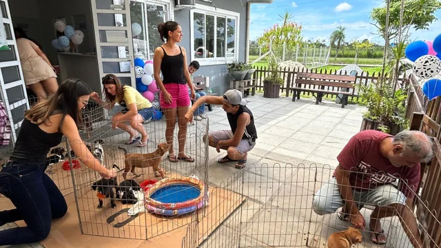 Sábado, 22 de março, acontece a Feira de Adoção de Animais no Aeroparque 