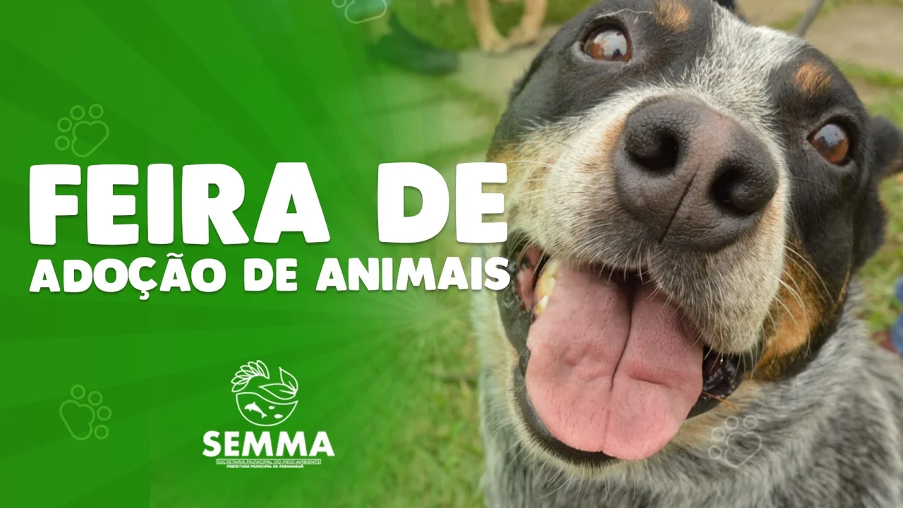 Dia Mundial do Meio Ambiente terá feira de adoção no Aeroparque