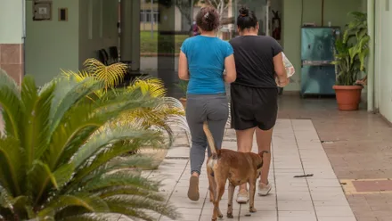 Imagem da galeria da noticia
