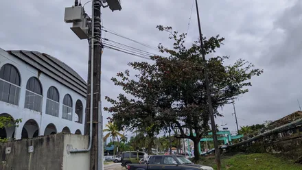 Imagem da galeria da noticia