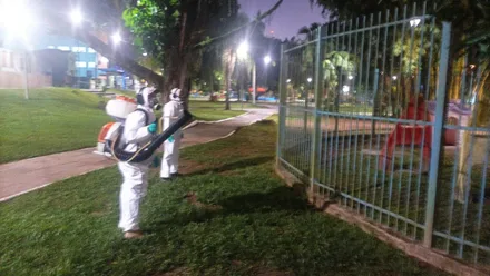 Imagem da galeria da noticia