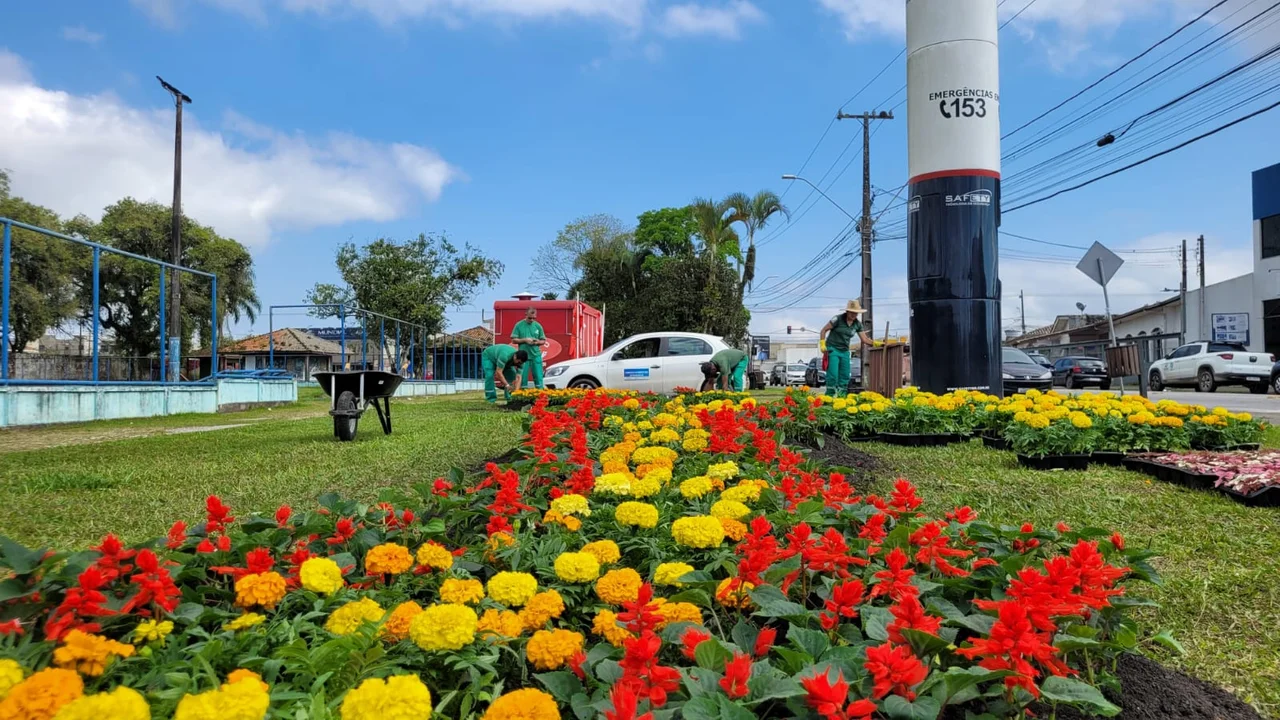 Secretária de Meio Ambiente realiza eventos alusivos ao Dia da Árvore