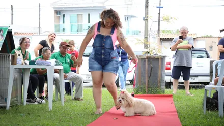 Imagem da galeria da noticia