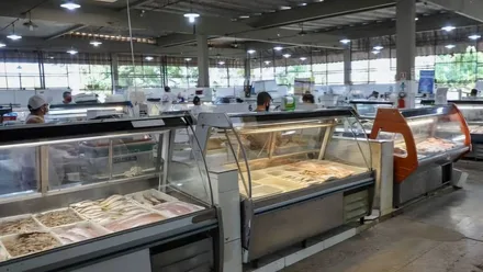 Imagem da galeria da noticia