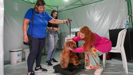 Imagem da galeria da noticia