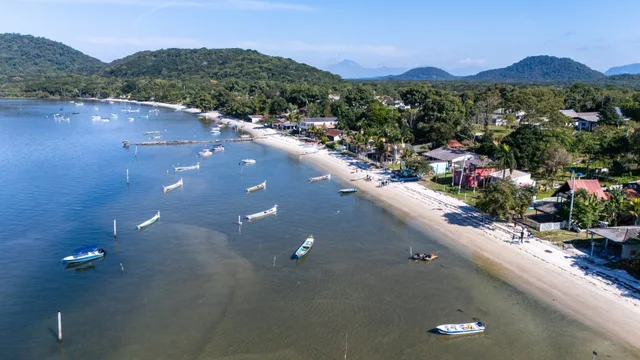 Festa do Marisco em Ponta de Ubá foi um sucesso e movimentou comunidades pesqueiras