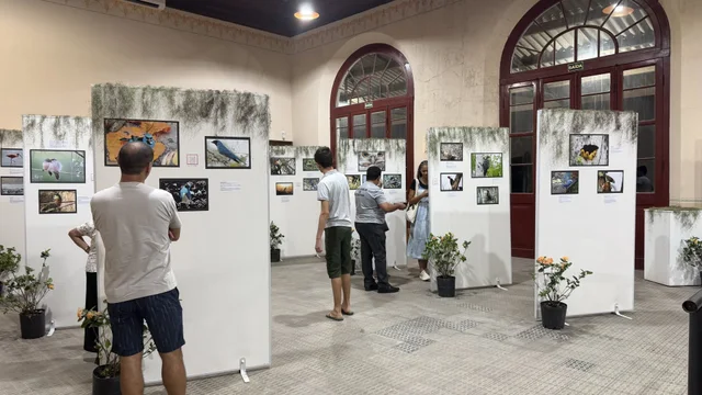Exposição “Pássaros – A beleza invisível ao nosso redor” encanta público na Estação Ferroviária