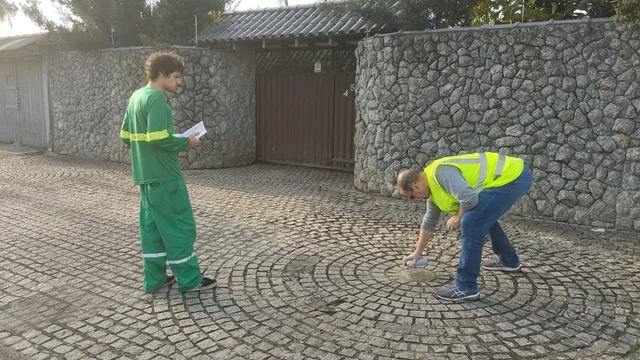 Meio Ambiente plantará 134 mudas de árvores 