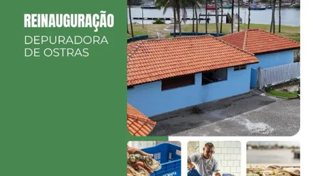Imagem da galeria da noticia