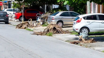 Imagem da galeria da noticia