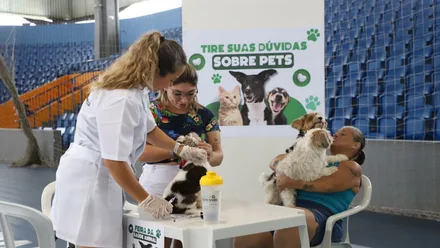 Imagem da galeria da noticia