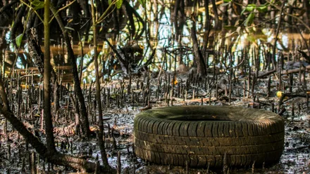 Imagem da galeria da noticia