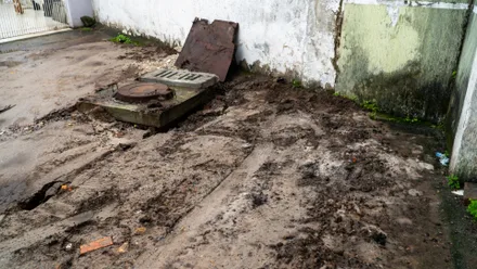 Imagem da galeria da noticia