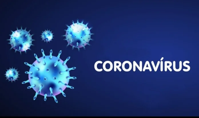 Informe Covid-19