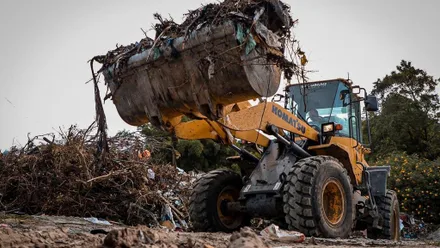 Imagem da galeria da noticia