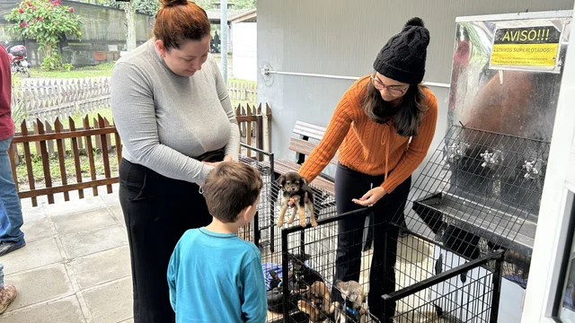 Feira de Adoção de Animais chega à 15.ª edição com quase 200 cães e gatos à espera de um novo lar em Paranaguá