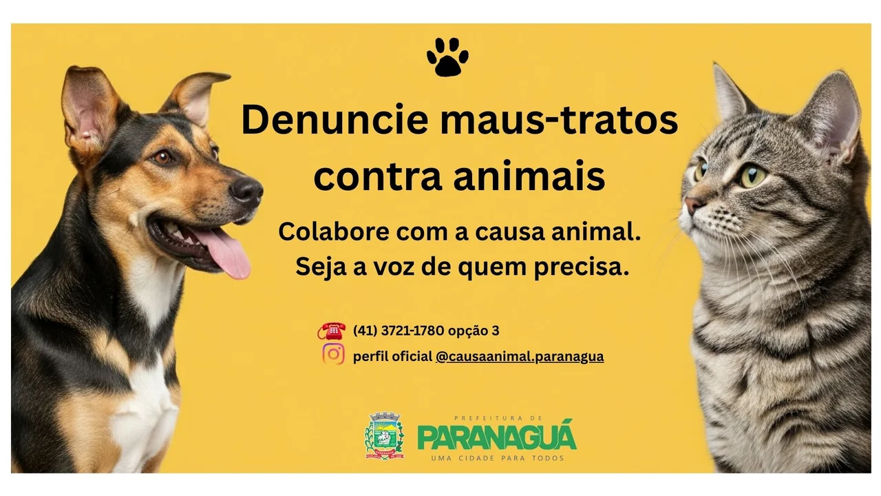 Prefeitura de Paranaguá recebe cerca de 60 denúncias por mês de maus-tratos de animais 