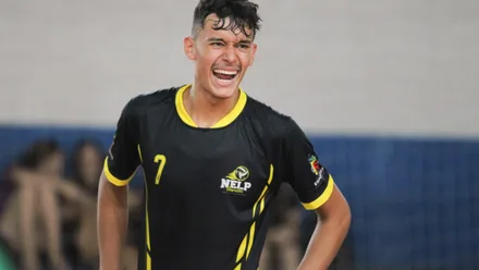 Henrique Veiga