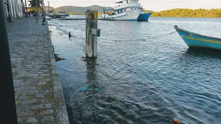 Imagem da galeria da noticia