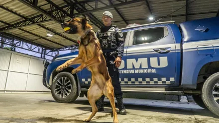 Imagem da galeria da noticia