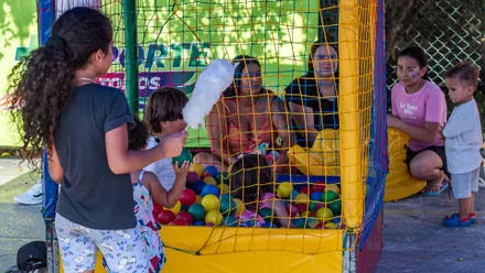 Imagem da galeria da noticia